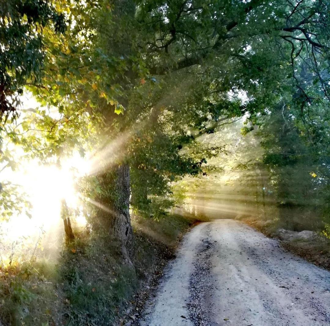 La Quercia Incantata كاميرينو المظهر الخارجي الصورة