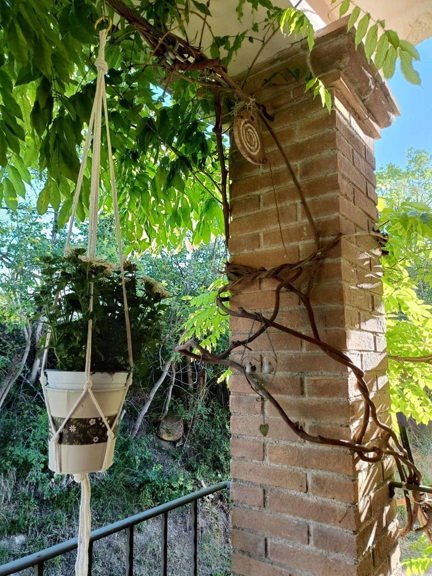 La Quercia Incantata كاميرينو المظهر الخارجي الصورة